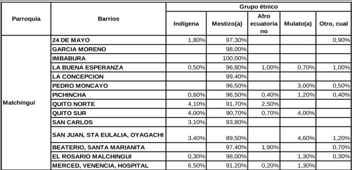 Cuadro 3.2: Grupos étnicos 