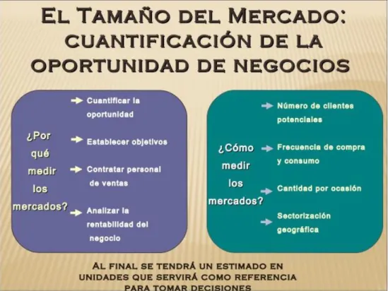 Ilustración 5.- Tamaño de Mercado 