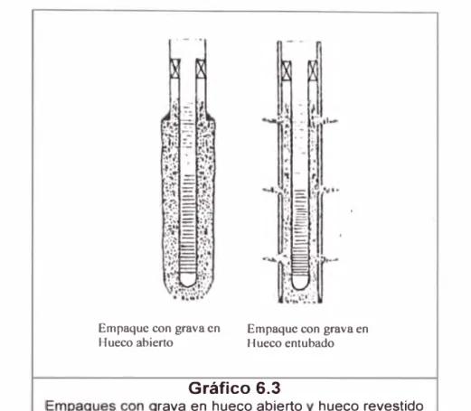 Gráfico 6.3 