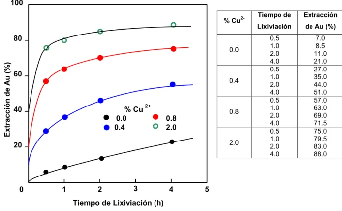 Figura 8. Efecto del ion cúprico sobre la cinética de lixiviación del oro (50 o C, 7.5% NH 3 ) 