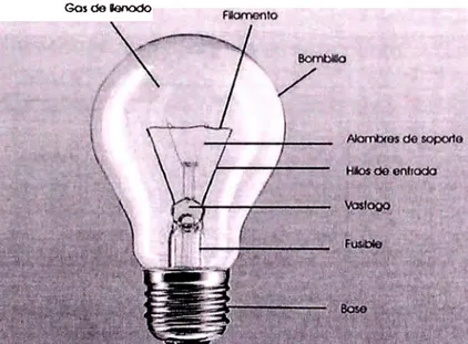 Figura 3. Partes principales de una Lámpara Incandescente 