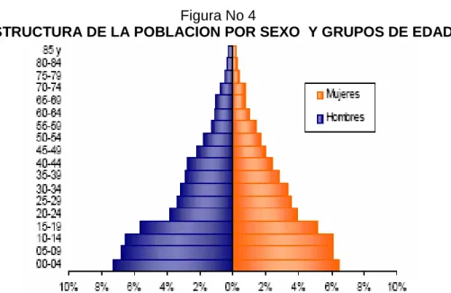 Figura No 5 