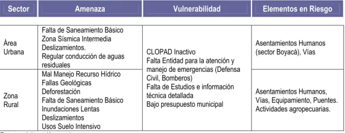 Cuadro 5: Síntesis Riesgo 