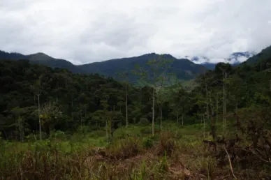 Tabla 3. Uso del suelo en el territorio del Centro Shuar Kiim 