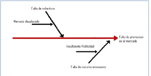 Gráfico 10: Causa Efecto (STRATEGY) 
