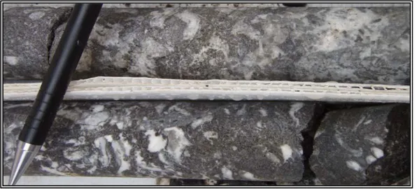 Foto  10.  DDH-CR-06,  a  833m.  ,  doloesparita  (rudstone)  fosilífera  con  WSD  y  bitumen  en  venillas