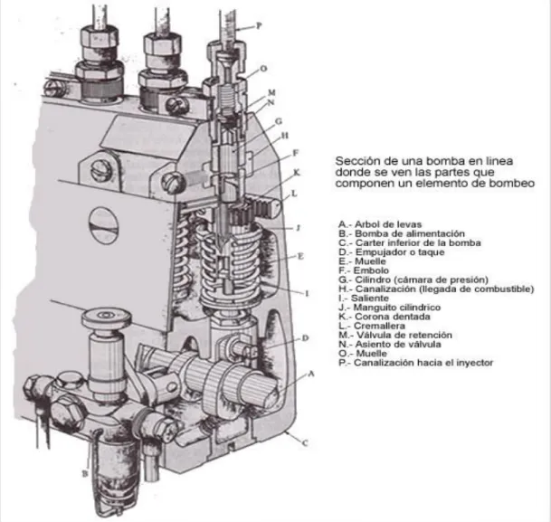 Figura 27 Corte en sección de la bomba en línea. 