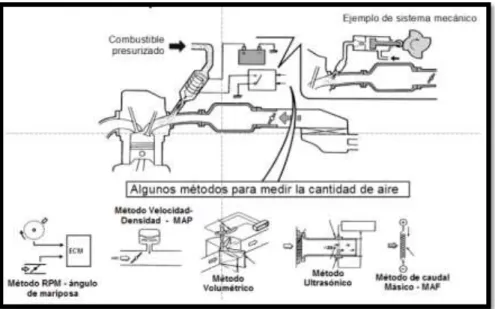 Figura 2. Sistema básico de inyección de combustible  (BOSCH, 2012)  