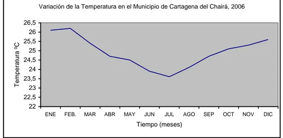 Cuadro 7: Variación de Humedad Relativa en el Municipio de Cartagena del  Chaira, Estación Maguaré, 2.006 