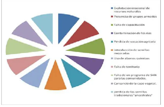 Figura  7.  Causas  más  frecuentes  de  la  inseguridad  alimentaria  y  nutricional  en  Chocó  según  las  mesas  indígenas de SAN 