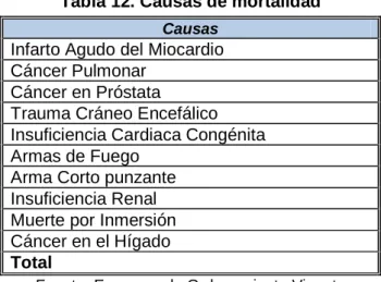 Gráfico 8. Causas de Mortalidad 