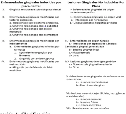 Ilustración 1: Clasificación  
