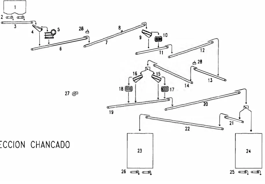 Figura  1. 1: Circuito de Ch ancado,  año  1995  °' 