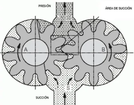 Figura 1.4 Representación de las partes internas de la bomba de engranajes [5]. 