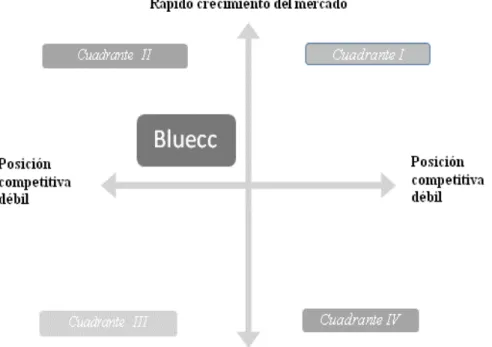 Figura 14: MGE Bluecc 