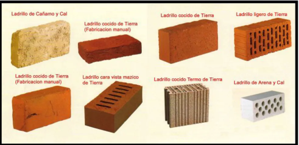 Gráfico 11.  Tipos de ladrillos 
