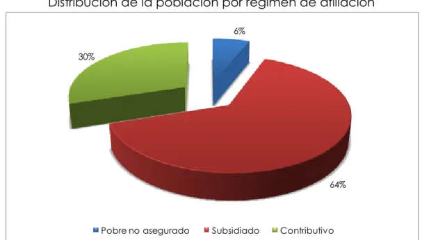 Gráfico 19. 