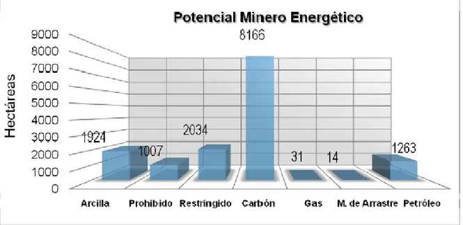 Gráfico 9.  Balance del potencial minero energético 
