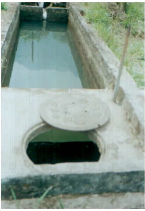 Foto No. 18 