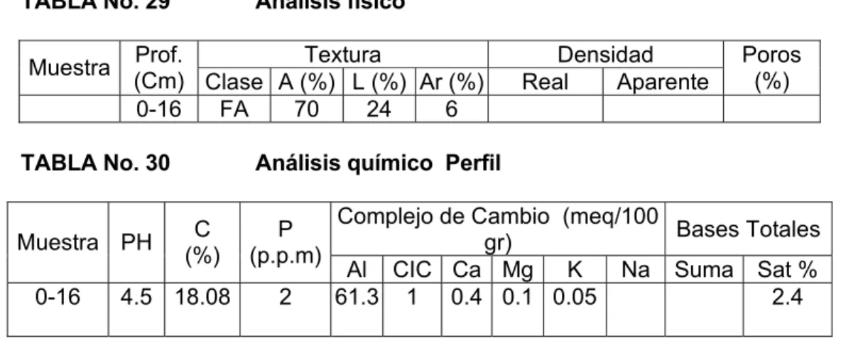 TABLA No. 29    Análisis físico  