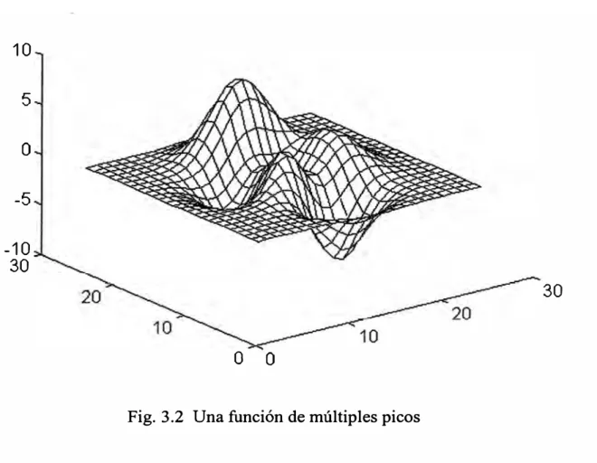 Fig. 3.2  Una función de múltiples picos 