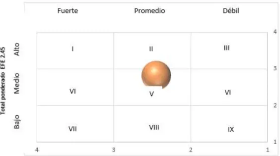 Figura 2. Matriz Interna Externa 