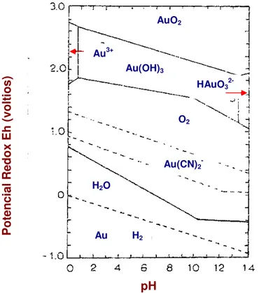Figura Nº 1.1 Diagrama de estabilidad potencial – pH para el sistema Au- Au-H 2 O-CN -  a 25ºC