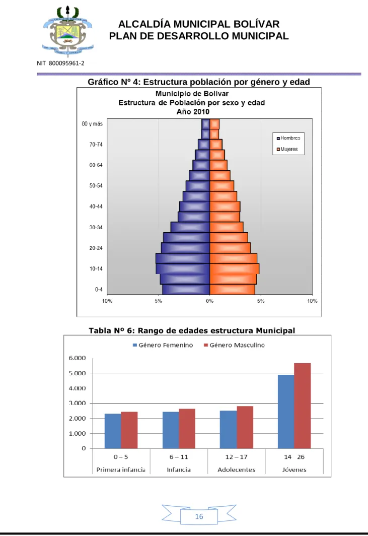 Gráfico Nº 4: Estructura población por género y edad 