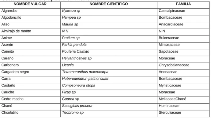 Cuadro No. 5  Composición Florística 