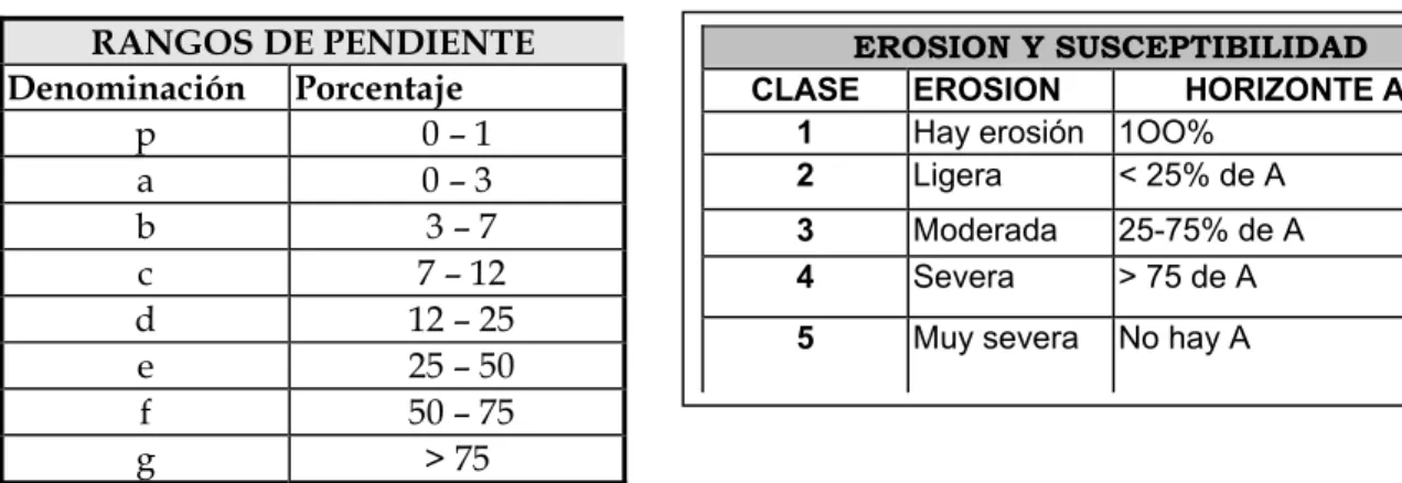 TABLA No. 1 -  45                                                                           TABLA No