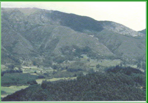 FIGURA  No. 23 