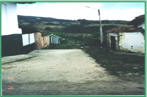 FIGURA No. 61 