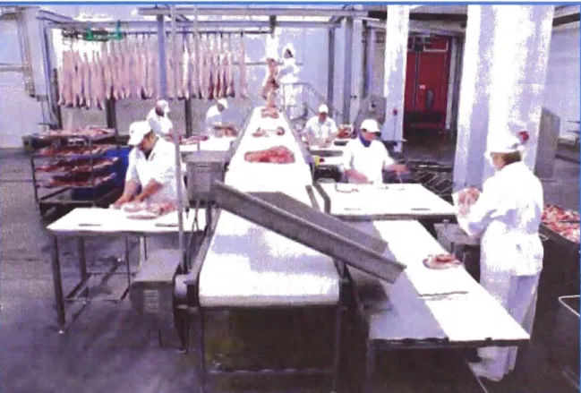 Figura 2.4: Vista general de una linea de deshuese de planta de  procesamiento de carnes 