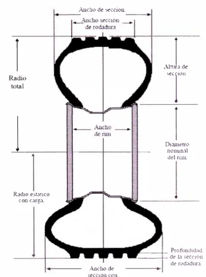 Fig. 2.6 Dimensiones de un Neumático 