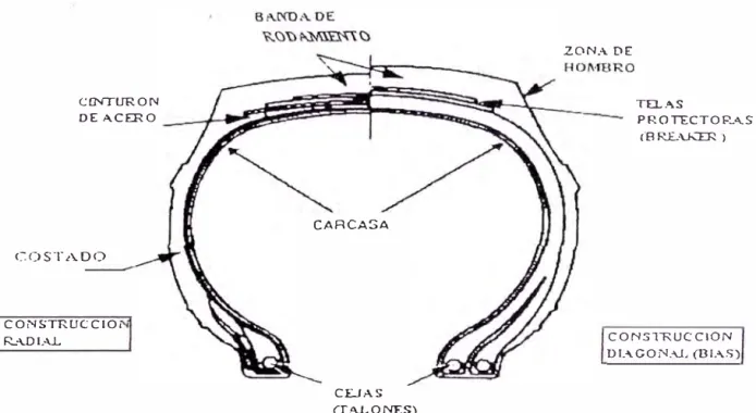 Fig. 2.9  Comparación Radial Vs. Convencional  2.9.  REENCAUCHE DE NEUMÁTICOS 