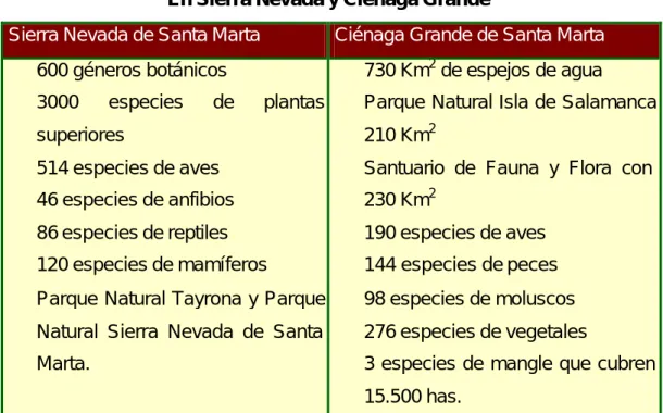 CUADRO No 
