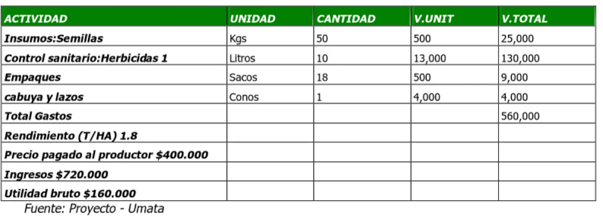 Tabla 71.  Costos de Producción Directos Maíz 