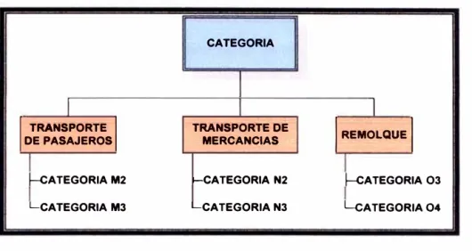 Fig. N º  3.4: Según su categoría. 