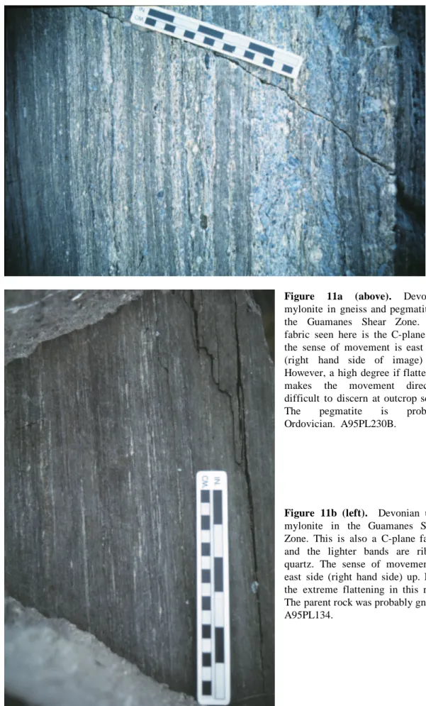 Figure 11a (above). Devonian  mylonite in gneiss and pegmatite in  the Guamanes Shear Zone
