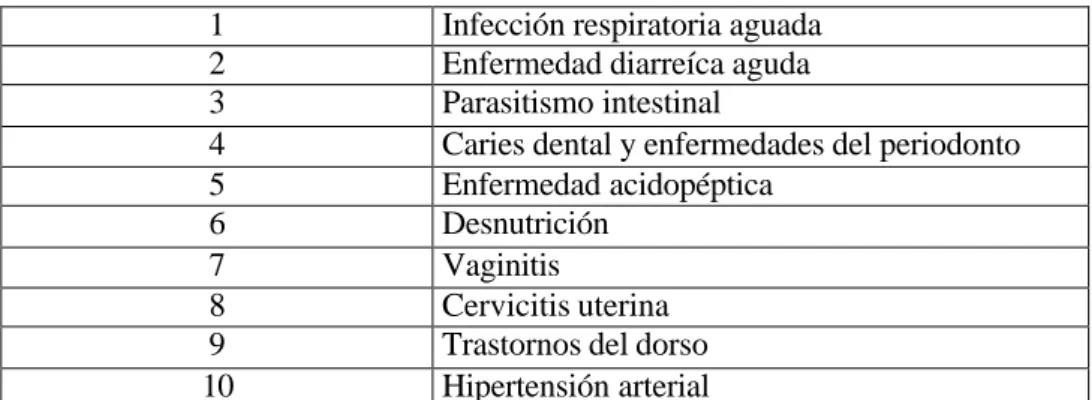 TABLA No. 13  CAUSAS DE MORBILIDAD