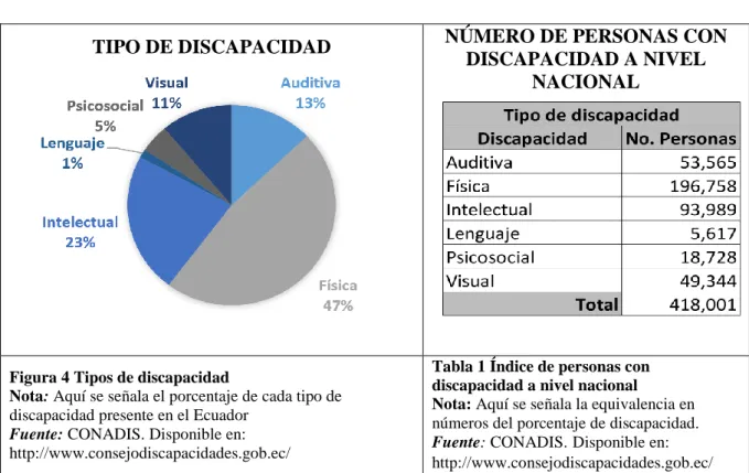 Figura 4 Tipos de discapacidad 