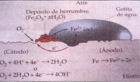 Figura 2.1  Celda electroquímica. 