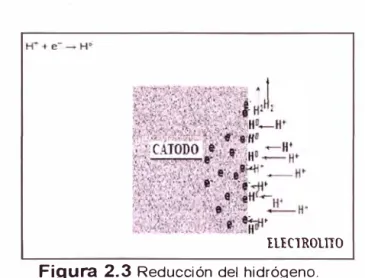 Figura  2.3  Reducción del  hidrógeno. 