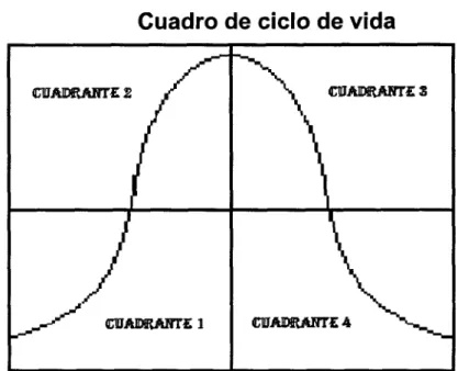 Cuadro de ciclo de vida 