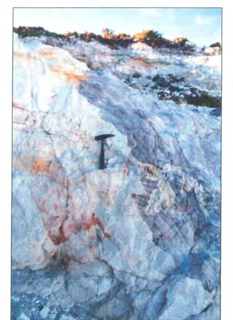 Foto 6:  Extracción  de caolín  en  sitio  &#34;Aguada de Guerra&#34;,  algunos sectores con  gran  blancura  y  otros con  restos de  roca  menos alterada  y  óxidos