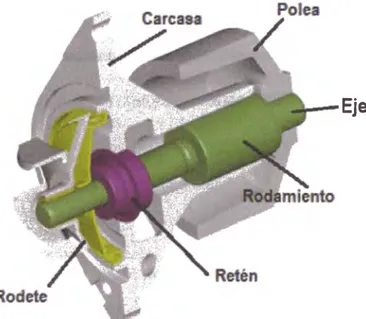 Figura 5:  Corte transversal de la bomba de agua utilizada en los motores de  este  estudio