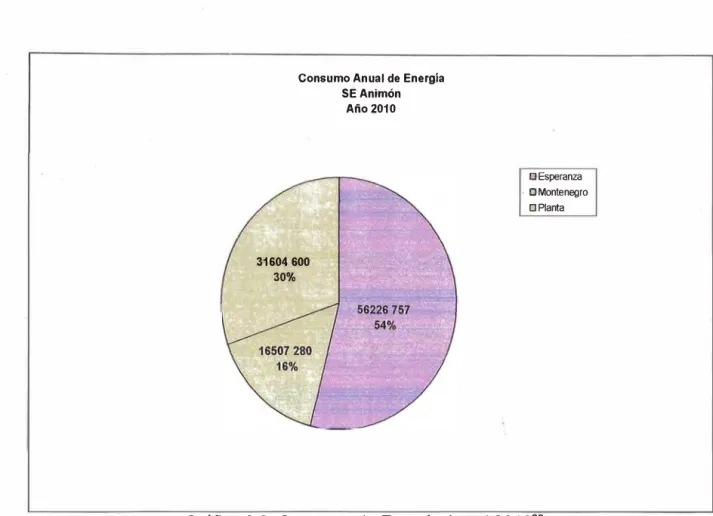 Gráfico 3.8: Consumo de Energía Anual 2010 22 