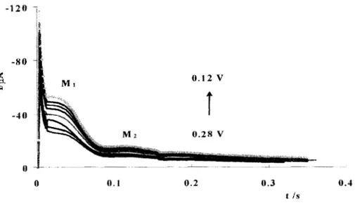 Fig.  15  Familia  típica  de  transitorios  potenciostáticos  de  corriente,  obtenidos  durante  el 