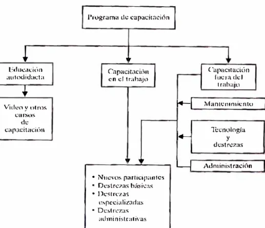 Figura N º  2.1 O:  Bosquejo de un programa de capacitación. 