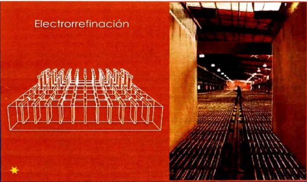 Figura 2.2.  Proceso de Electrore:finación 